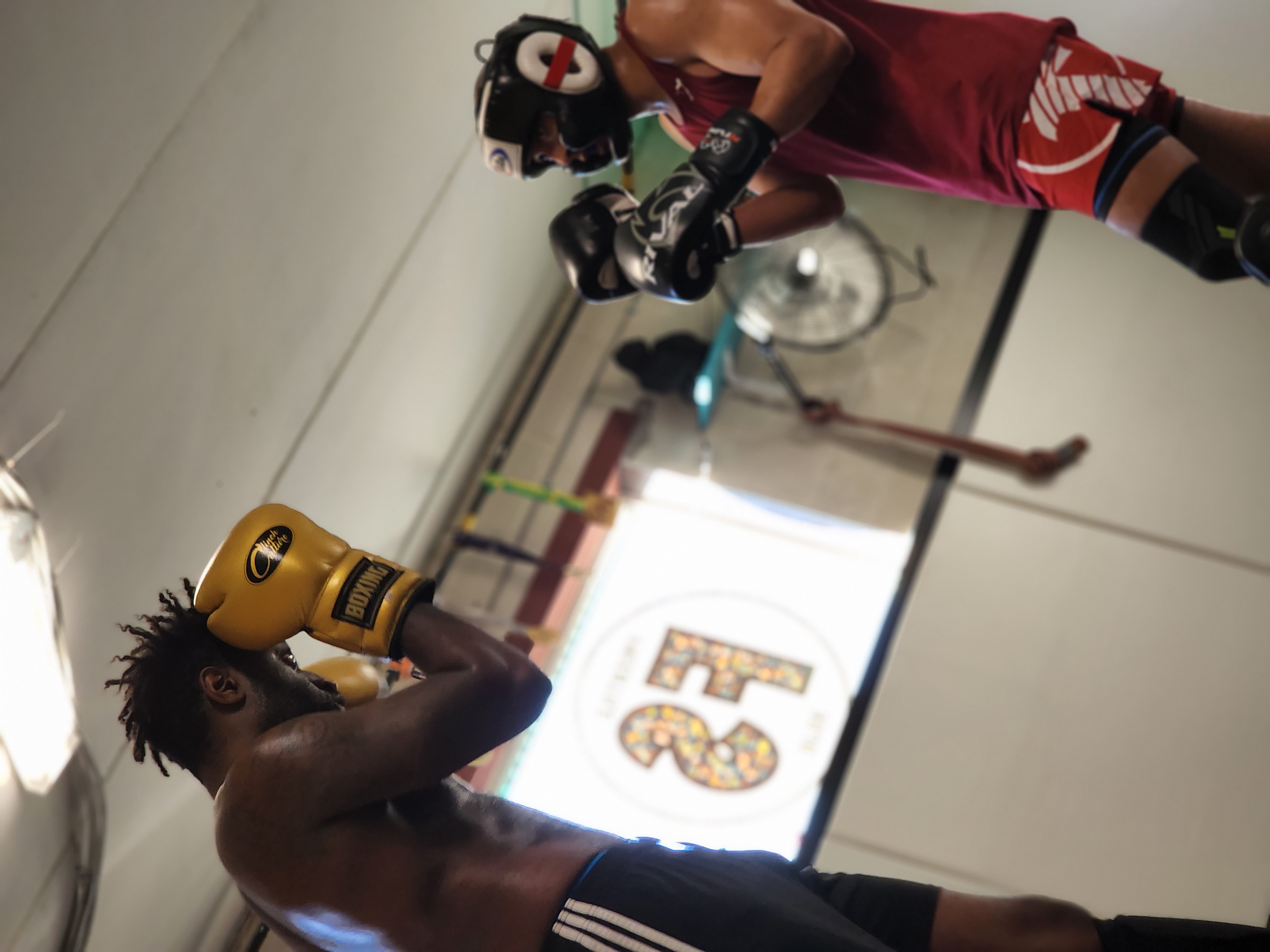 Freestyle Dojo Striking Classes