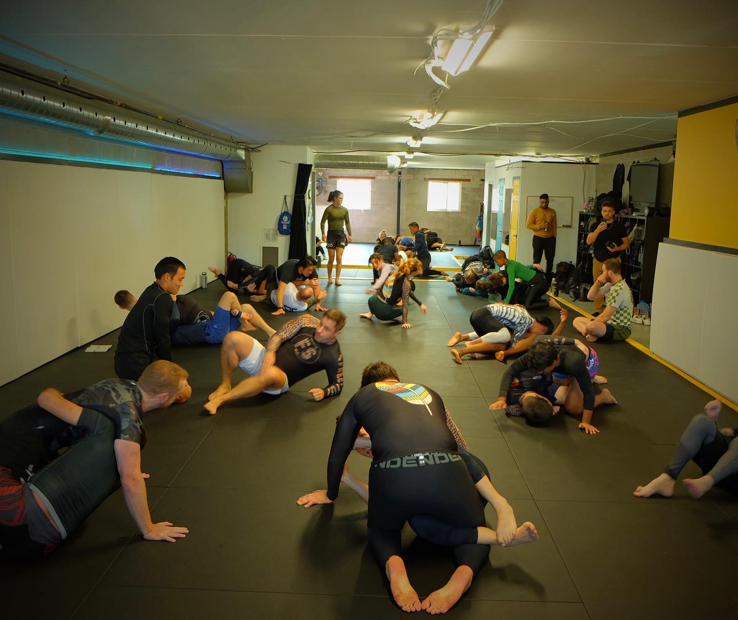 Adult Jiu Jitsu training at Freestyle Dojo Toronto